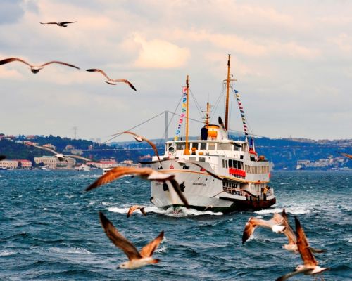 Bósforo Crucero con Cena en Estambul