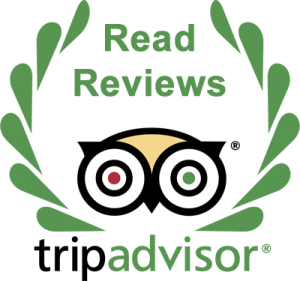 Grecia Viajes - Trip Advisor Reviews